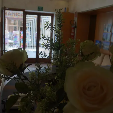 Hotel Loreto Отель Лорето