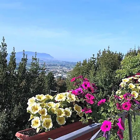 Hotel Loreto Loreto