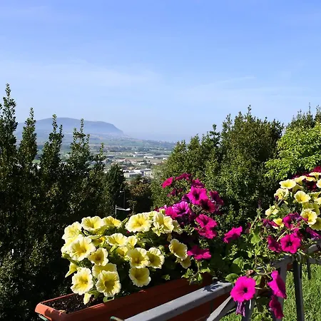Hotel Hotel Loreto
