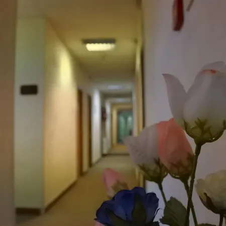 Отель Hotel Loreto